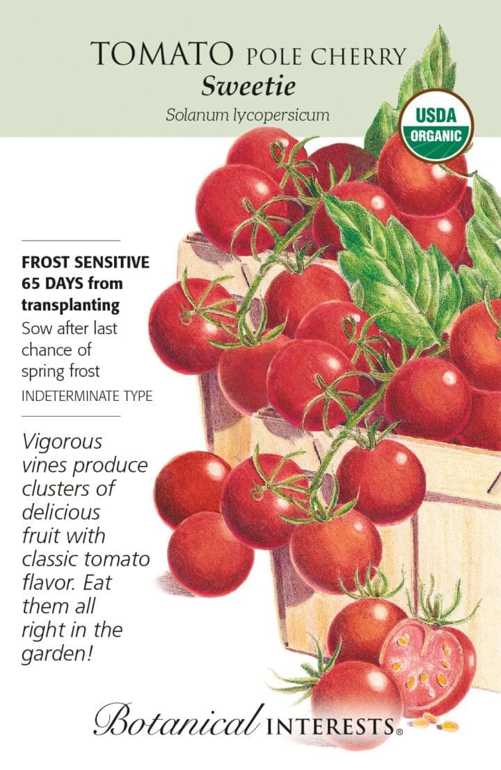 Tomato Cherry Sweetie Organic Botanical