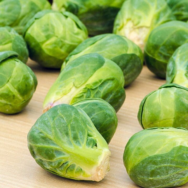Jade Cross Brussel Sprout - Image 2