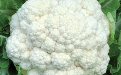 Air-Fryer Cauliflower – Serious Eats