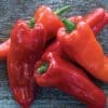Pepper Costa Rican Sweet Hybrid (Sweet) (Sun)