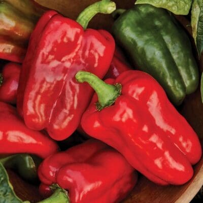 Great Stuff Sweet Pepper