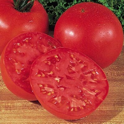 Burpee's Big Boy Tomato (Slicer) - Pahl's Market - Apple Valley, MN