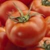 Burpee's Big Boy Tomato (Slicer) - Image 2