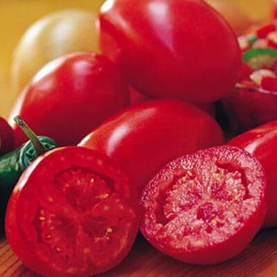 Fresh Salsa Hybrid Tomato (Roma/Paste)