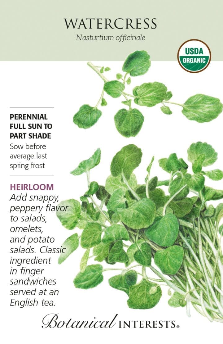 Watercress Organic Botanical