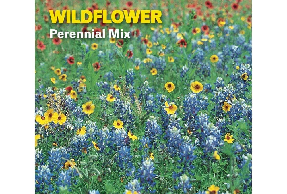 Wildflowers Mix Perennial Burpee