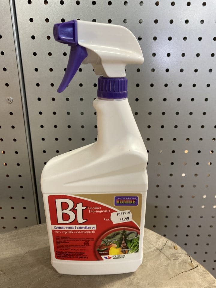Bacillus Thuringiensis Ready To Use Quart