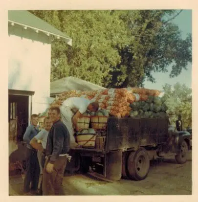 Wayne and boys loading a truck for farmers market.