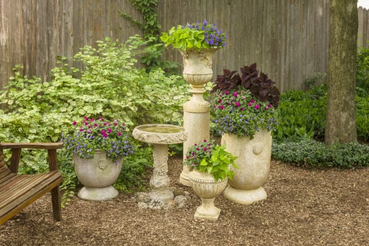 Rockapulco Purple Double Impatiens - Image 2