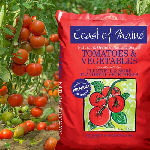 Bag_Soil COM Natural & Organic Planting Soil for Tomatoes & Vegetables2