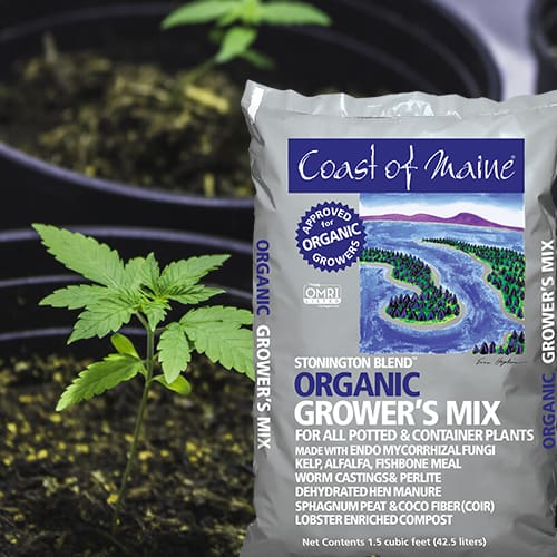 Bag_Soil COM Stonington Blend Organic Growers Mix3
