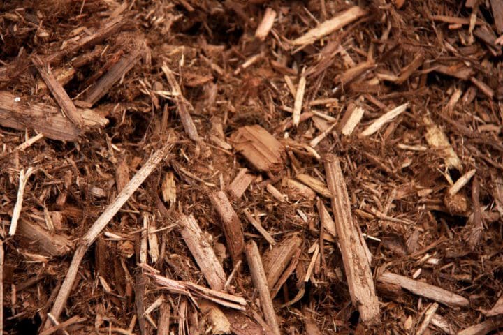 Western Red Cedar Mulch