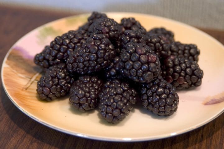 Bristol Black Raspberry - Image 2