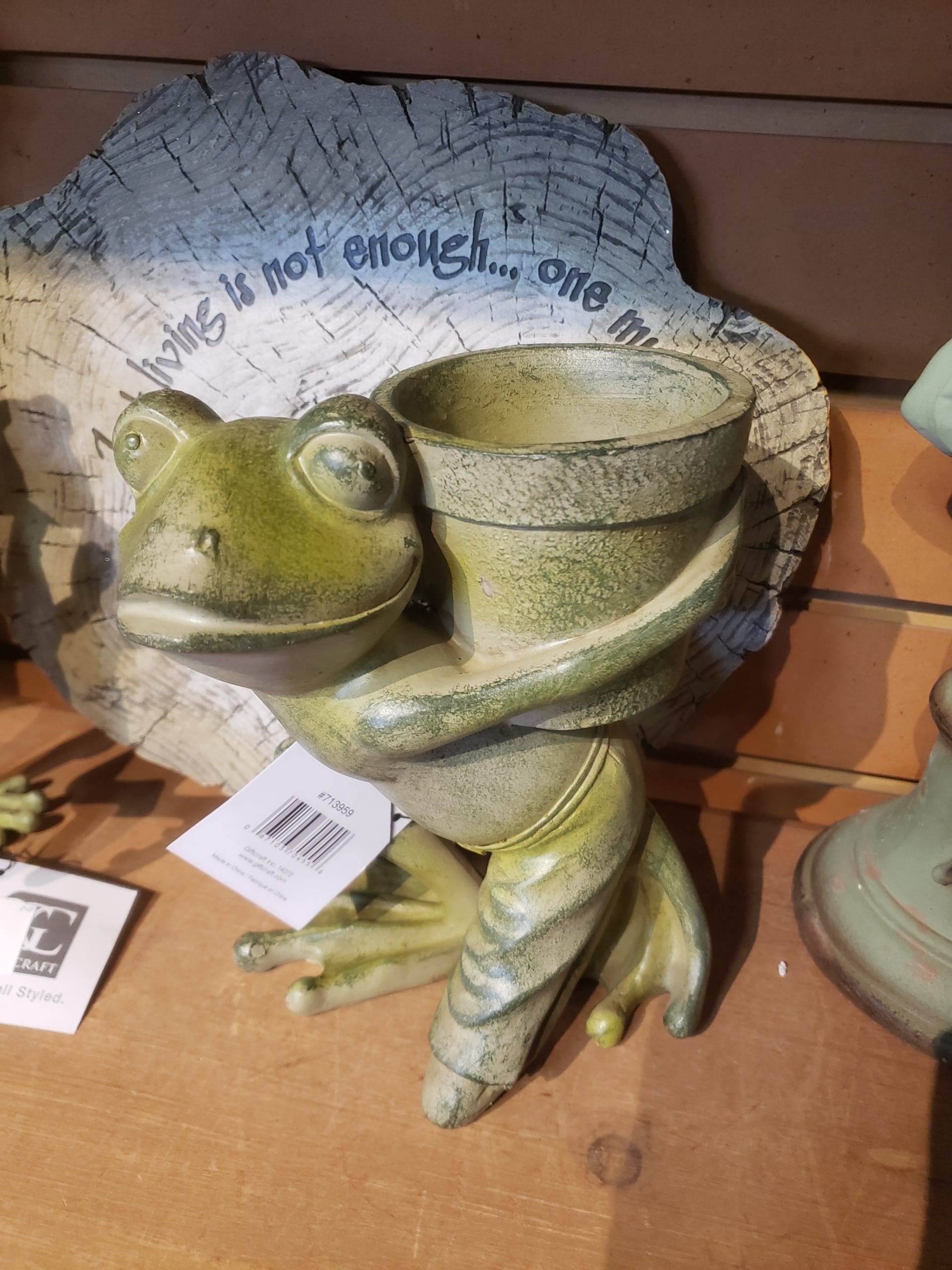 Frog With Pot