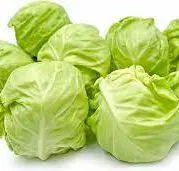 cabbage-box.jpg