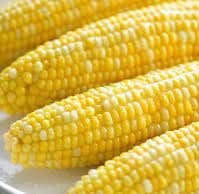  Sweet Corn