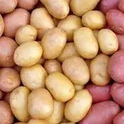 Air-Fryer Rosemary Garlic Baby Potatoes – BHG