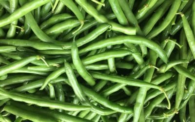 Freezing Green Beans