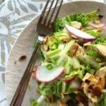 Napa Cabbage Picnic Salad