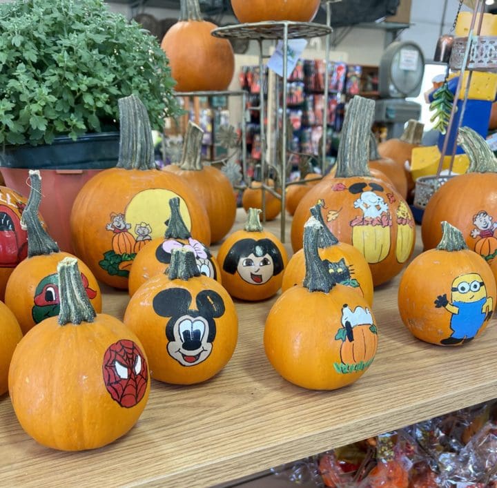 MINI PAINTED PUMPKINS