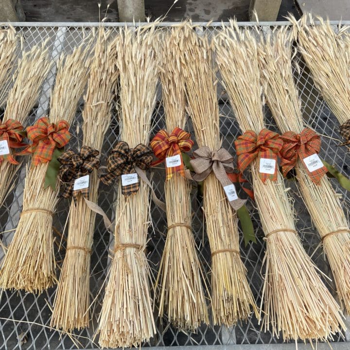 Rye Bundle with Bow