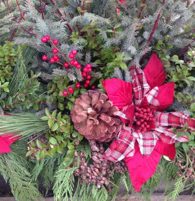 Garden Center Pumpkins