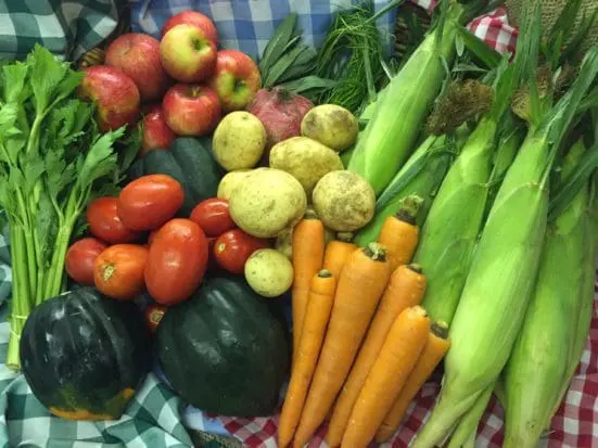 Assorted Fruits and Vegetables including apples, tomatoes, squash, carrots, corn