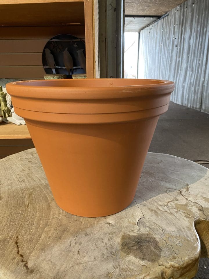 12 Inch Standard Clay