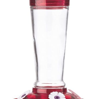 CLASSIC BRANDS RUBY GLASS HUMMINGBIRD FEEDER 10 OZ