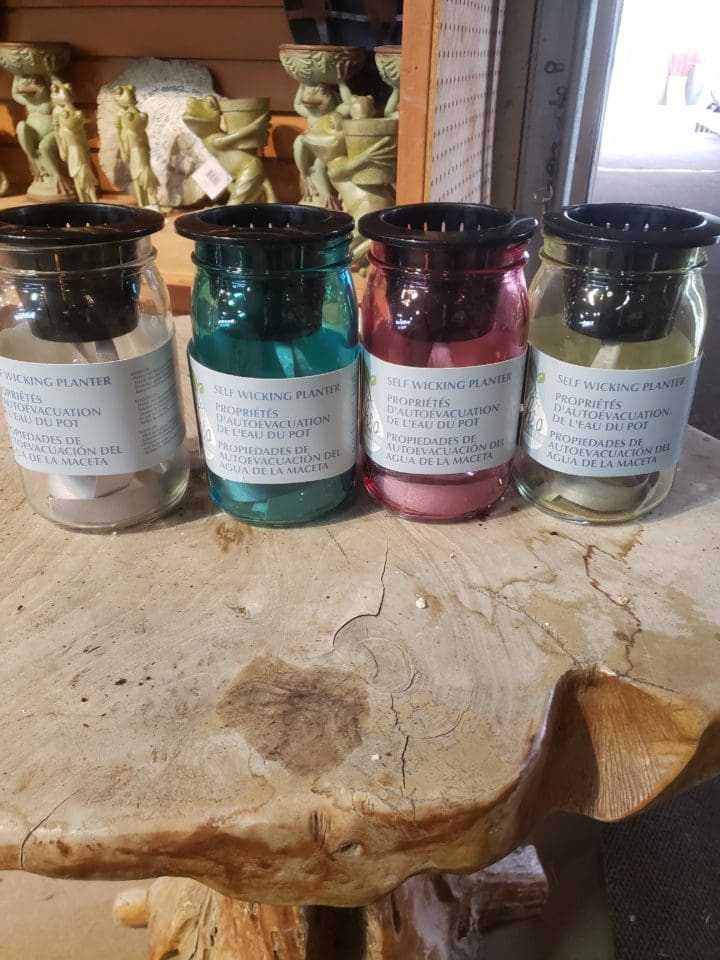 Glass Mason Jar Self-wicking Planter, 4 assorted