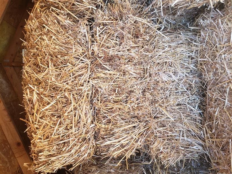 Straw Bales – Sold By The Bale (Add-On – 10 Maximum)