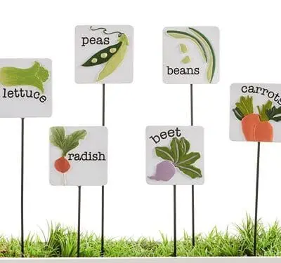 VEGGIE PLANT PICK