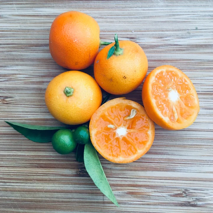 Calamondin Orange - Image 2