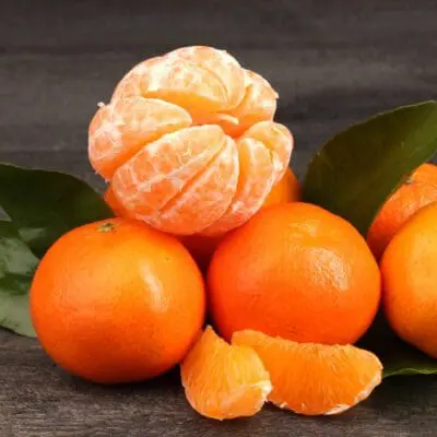 Valencia Orange