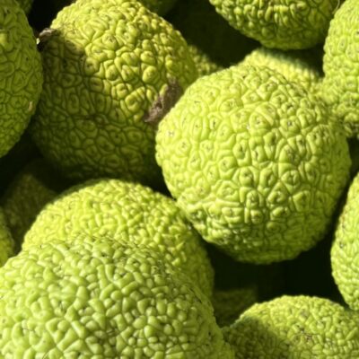 Hedge Ball