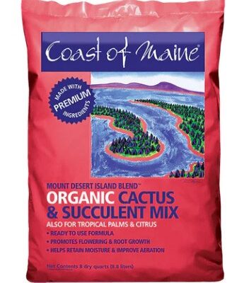 Coast Of Maine Mount Desert Island - Cactus & Succulent Mix