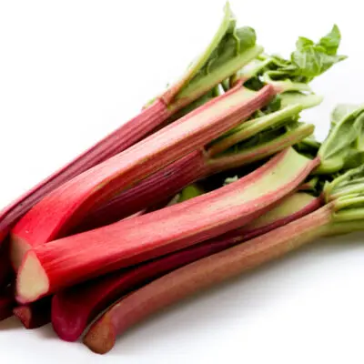 Victoria Rhubarb