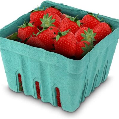 STRAWBERRY 16Oz Container