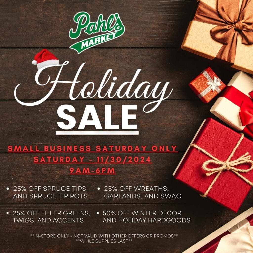 Small Business Saturday Deals!