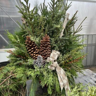 WINTERWOOD SPRUCE POT