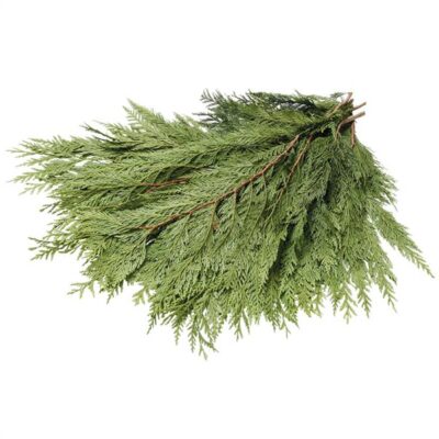 BULK CONED CEDAR BOUGHS