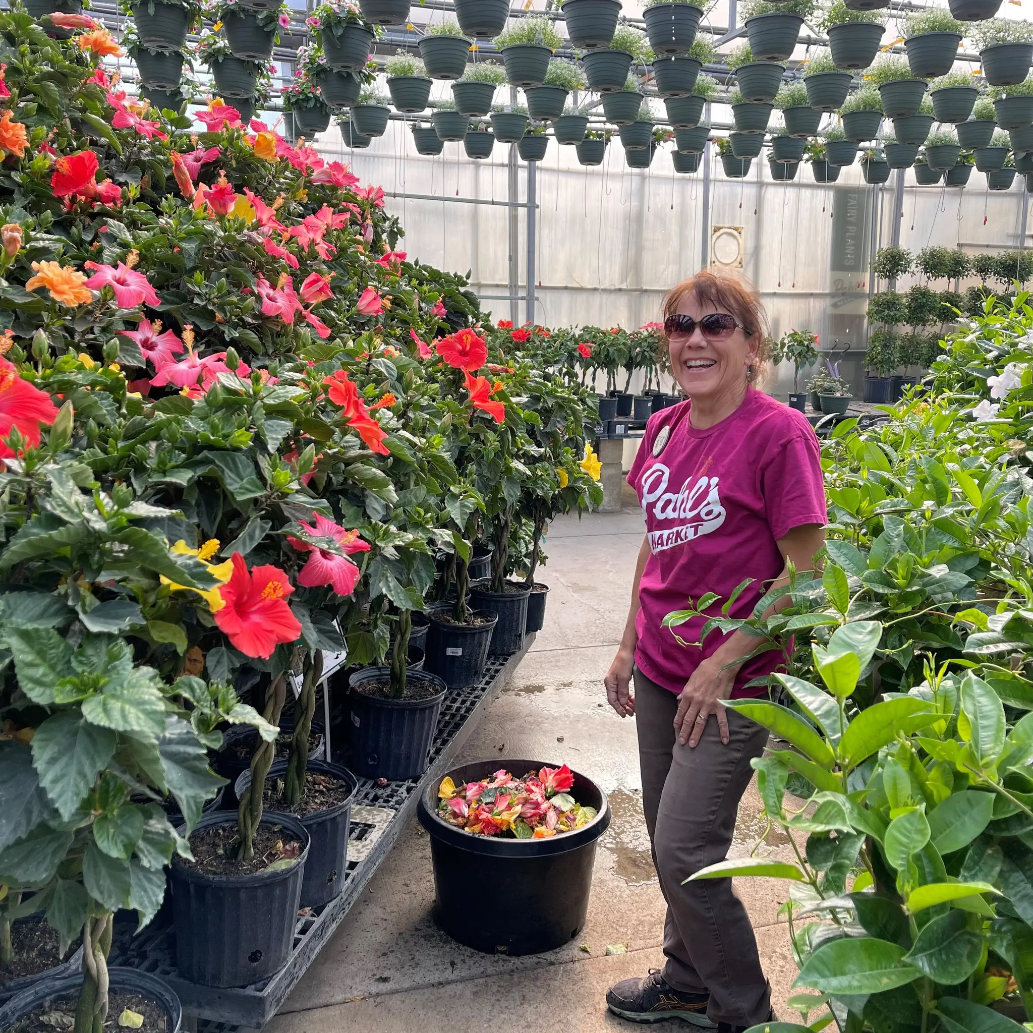 Greenhouse