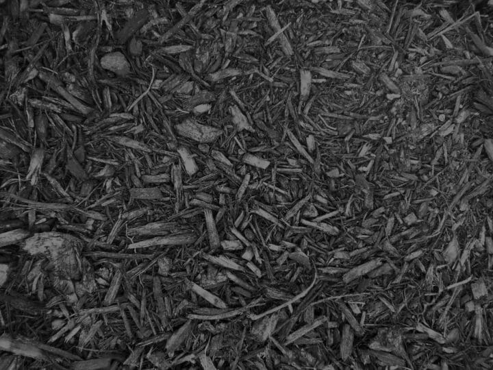 Black Shredded Mulch