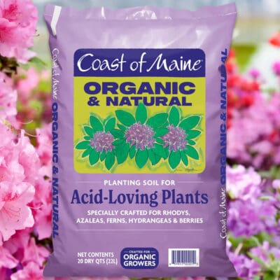 Coast of Maine Planting Soil for Acid-Loving Plants