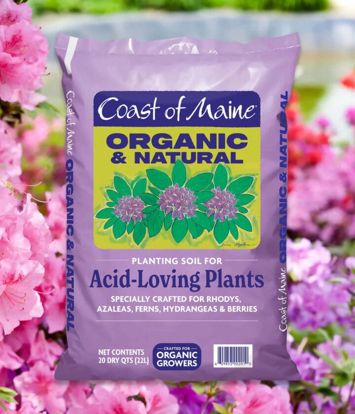 Coast of Maine Planting Soil for Acid-Loving Plants