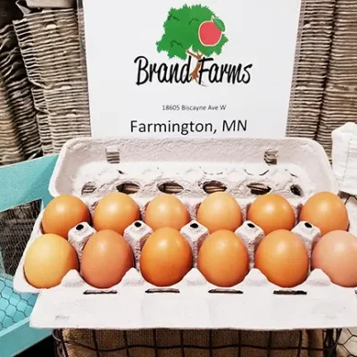 Brand Farm Eggs - 1 dozen