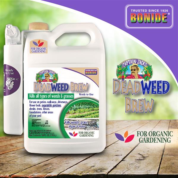 CAPTAIN JACK DEADWEED BREW RTU 128 OZ