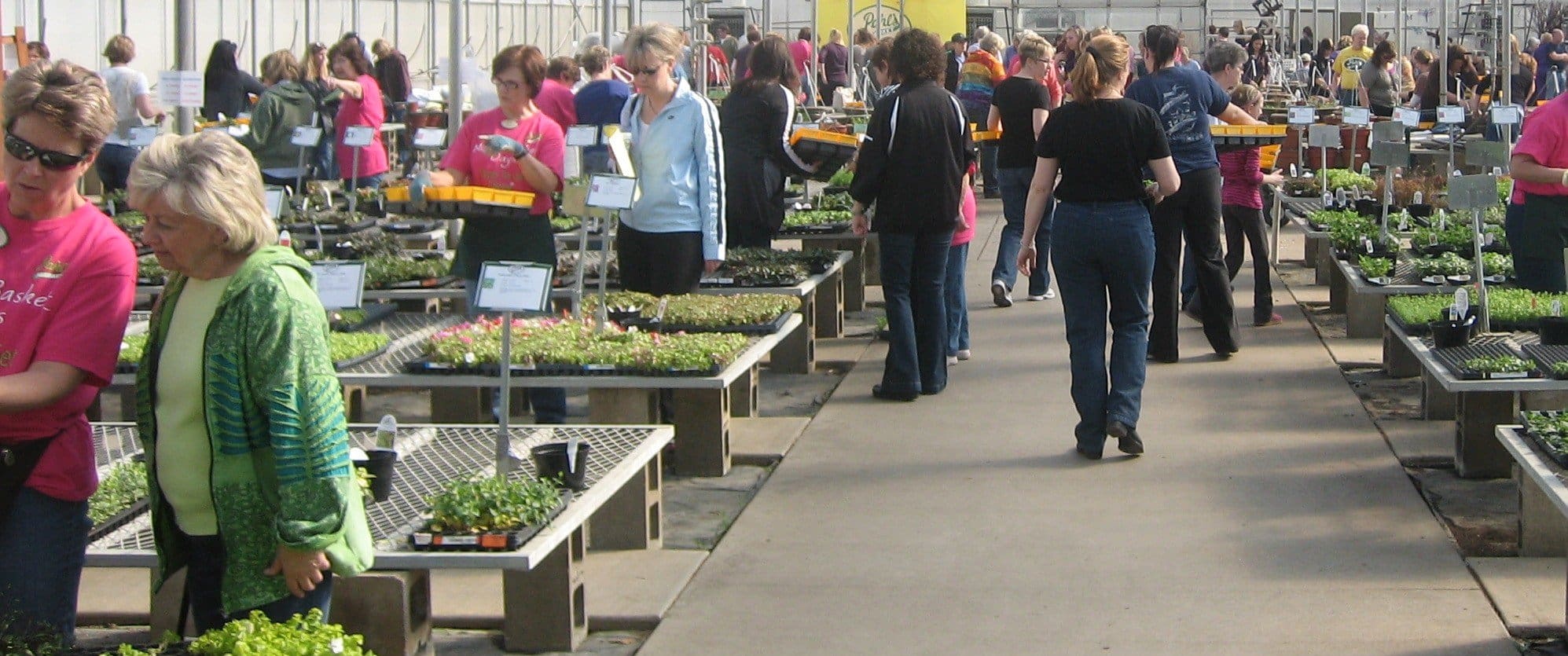 Pahl's Moss Basket Days!