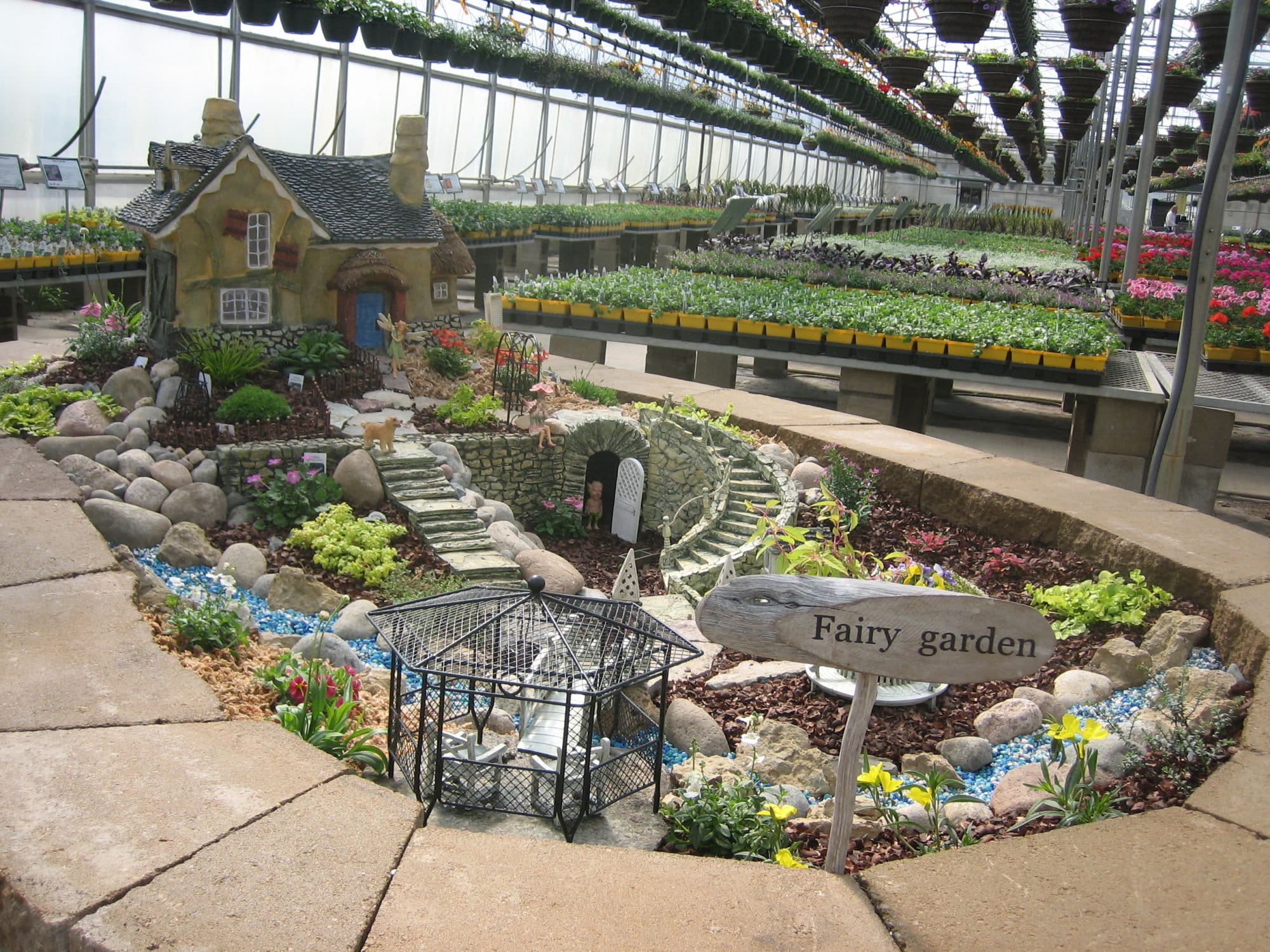 Fairy Gardening Video on KSTP