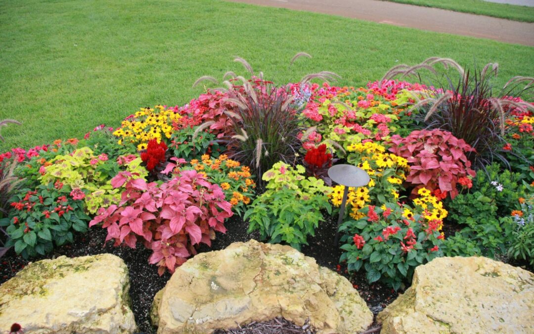 Outcropping Stones and Annual Planting Bed in Lakeville